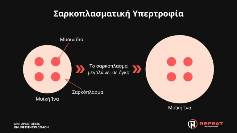 σαρκοπλασματική μυική υπερτροφία. Μυική ανάπτυξη μέσω τις αύξησης των "ενδομυικών υγρών"