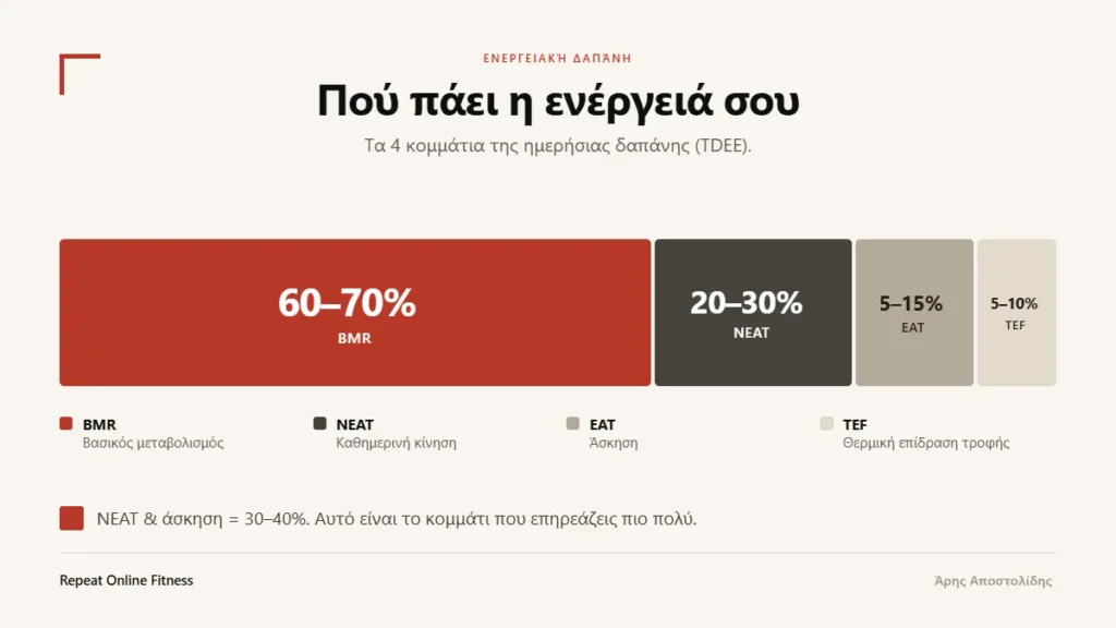 Διάγραμμα ημερήσιας ενεργειακής δαπάνης (TDEE): ο βασικός μεταβολισμός καταλαμβάνει το μεγαλύτερο μέρος, ακολουθούν η καθημερινή κίνηση (NEAT), η άσκηση και η θερμική επίδραση της τροφής.
